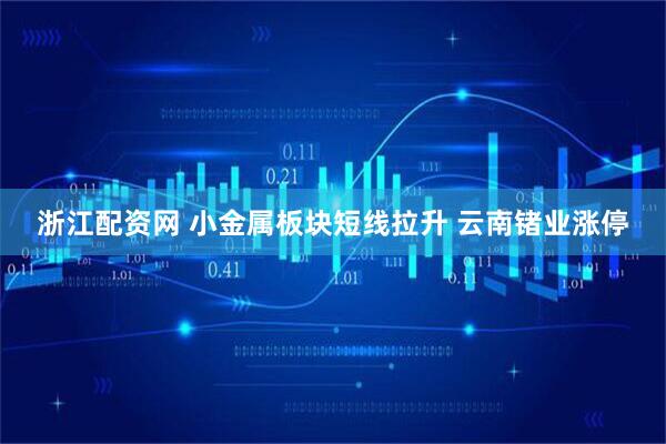 浙江配资网 小金属板块短线拉升 云南锗业涨停