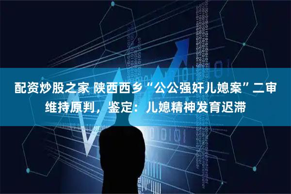 配资炒股之家 陕西西乡“公公强奸儿媳案”二审维持原判，鉴定：儿媳精神发育迟滞